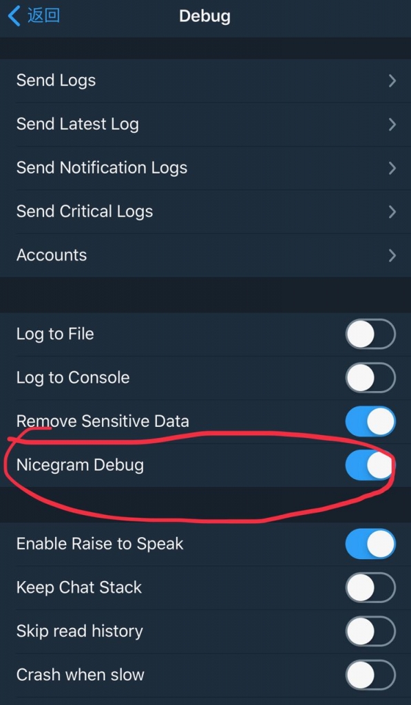 Nicegram中文设置及Debug模式开启-电报群Telegram第三方IOS客户端插图7